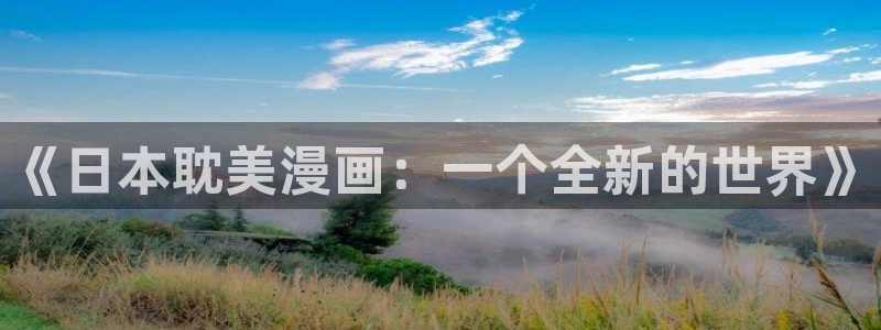 羞羞漫画sss汗汗漫画：《日本耽美漫画：一个全新的世界》