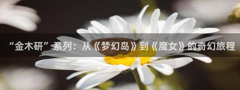 汗汗漫画首页yy：“金木研”系列：从《梦幻岛》到《魔女》的奇幻旅程