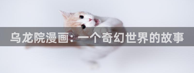 汗汗漫画看不了了：乌龙院漫画: 一个奇幻世界的故事