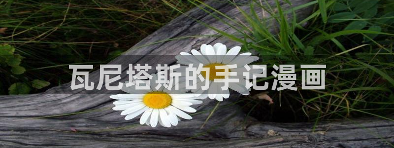 汗汗漫画视频：瓦尼塔斯的手记漫画